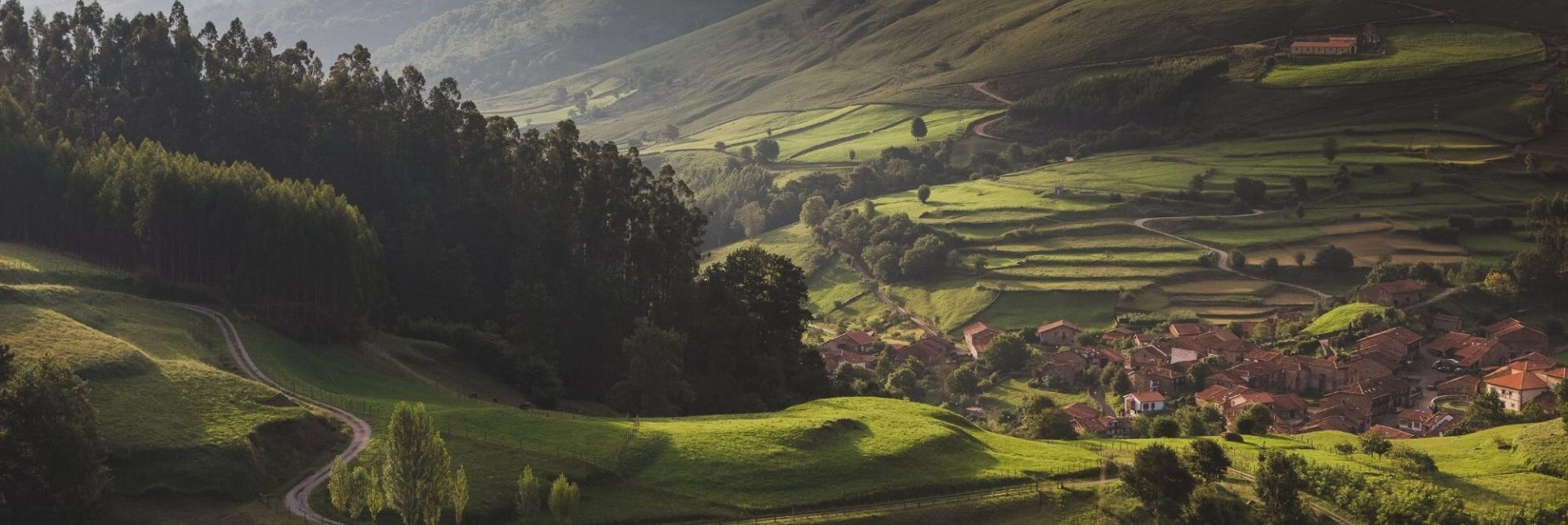 ruralka empresas