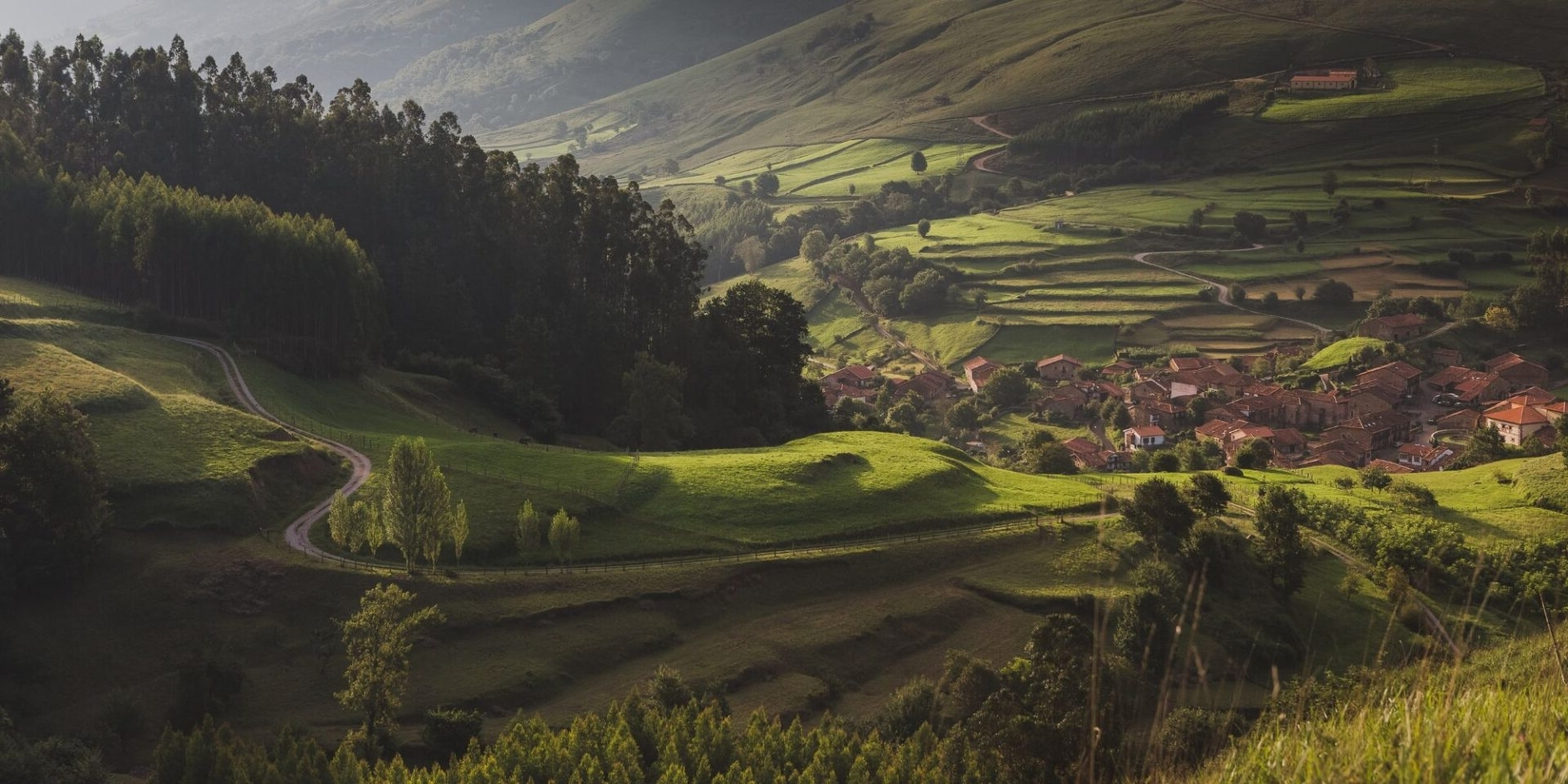 ruralka empresas